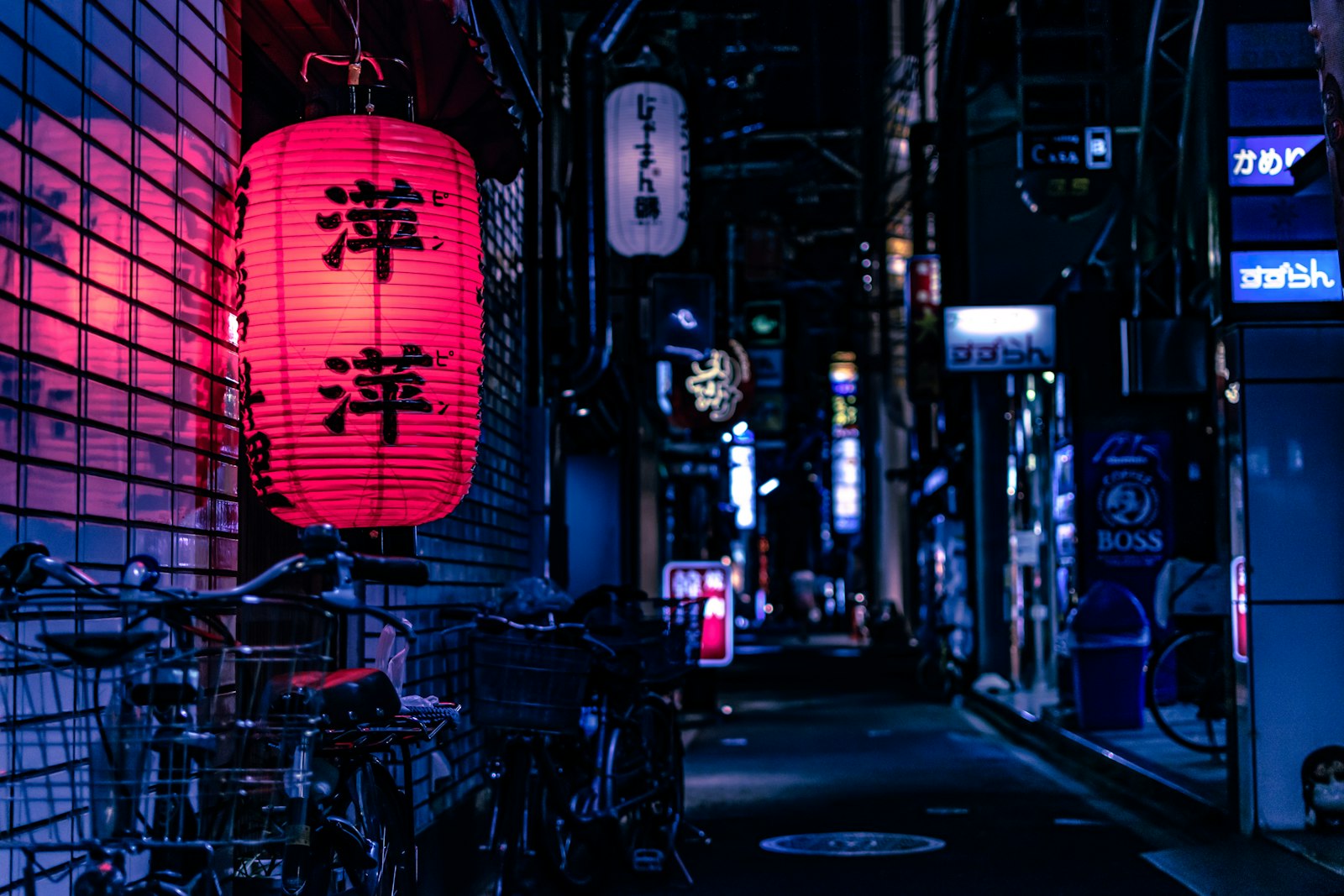 枯山水・庭石